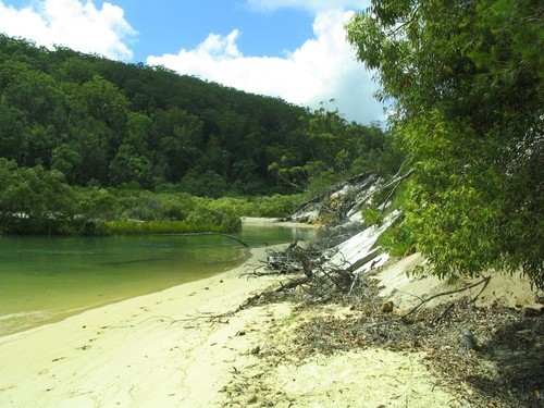 Near the entrance to the creek on Fraser Island © SW